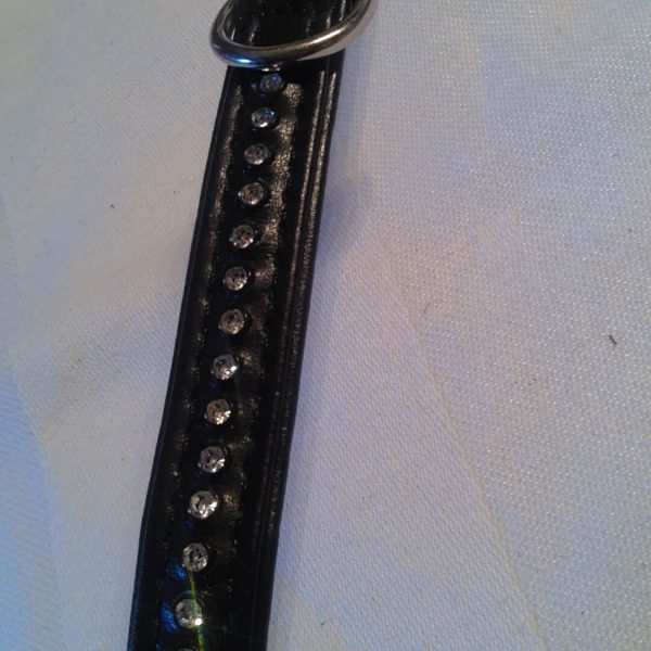 Hunter Halsband Luxus Straße kleine Hunde, Hunter, schwarz, Größe XS-S