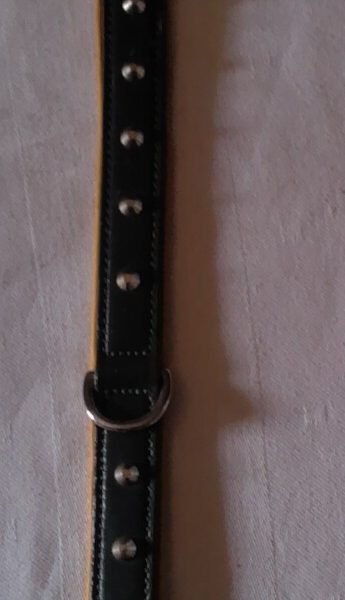 Trixie Hundehalsband Active 42 cm, Trixie, Grün, Größe M