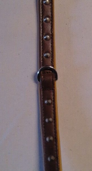 Trixie Hundehalsband Active 42 cm, Trixie, braun, Größe S-M
